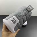 AIR JORDAN 12 STEALTH