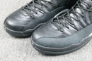 AIR JORDAN 12 THE MASTER