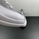 AIR JORDAN 12 STEALTH