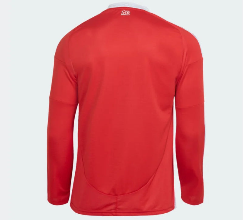 CAMISETA INTERNACIONAL MANGA LONGA 25/26