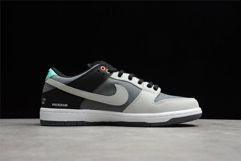 DUNK LOW CAMCORDER