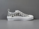 DIOR LOW OBLIQUE TRANSPARENC