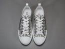 DIOR LOW OBLIQUE TRANSPARENC