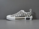 DIOR LOW OBLIQUE TRANSPARENC