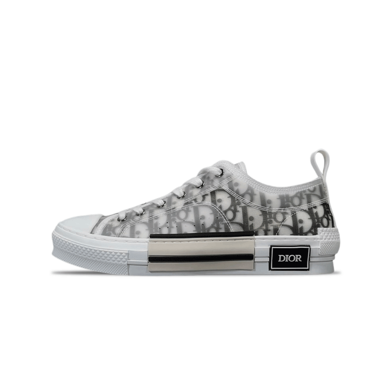 DIOR LOW OBLIQUE TRANSPARENC